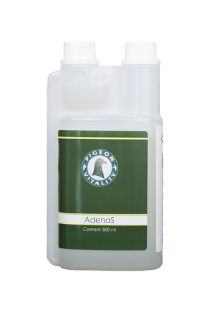 Preparaty odpornościowe - Adenos 500ml (1)