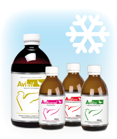 AVI ZESTAW ZIMOWY (produkty na zimę) - pakiet 4 produktów