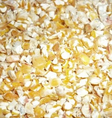 Ziarna - Kukurydza żółta ćwiartki 1kg (1)