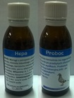 DLA GOŁĘBI - Hepa Proboc 60ml bogaty skład (probiotyk z ostropestem i witaminami) (2)