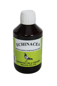 Echinacea (jeżówka na odporność) 250ml